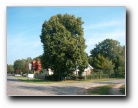[Click to enlarge]